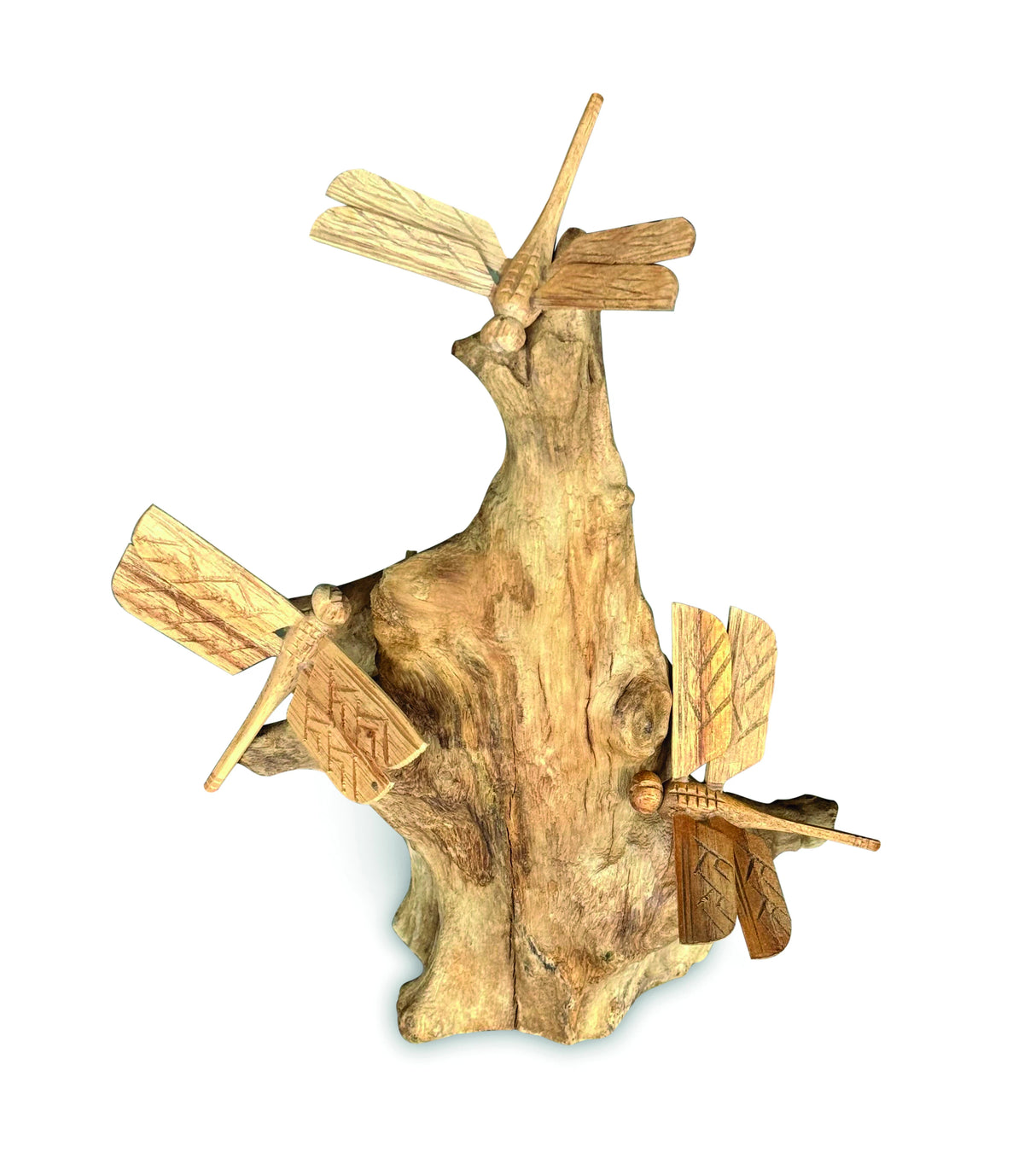 3 Dragonfly On Driftwood