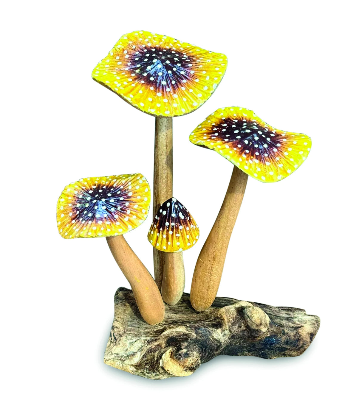 YELLOW BLUSHER 4x MUSHROOMS 20-22cm