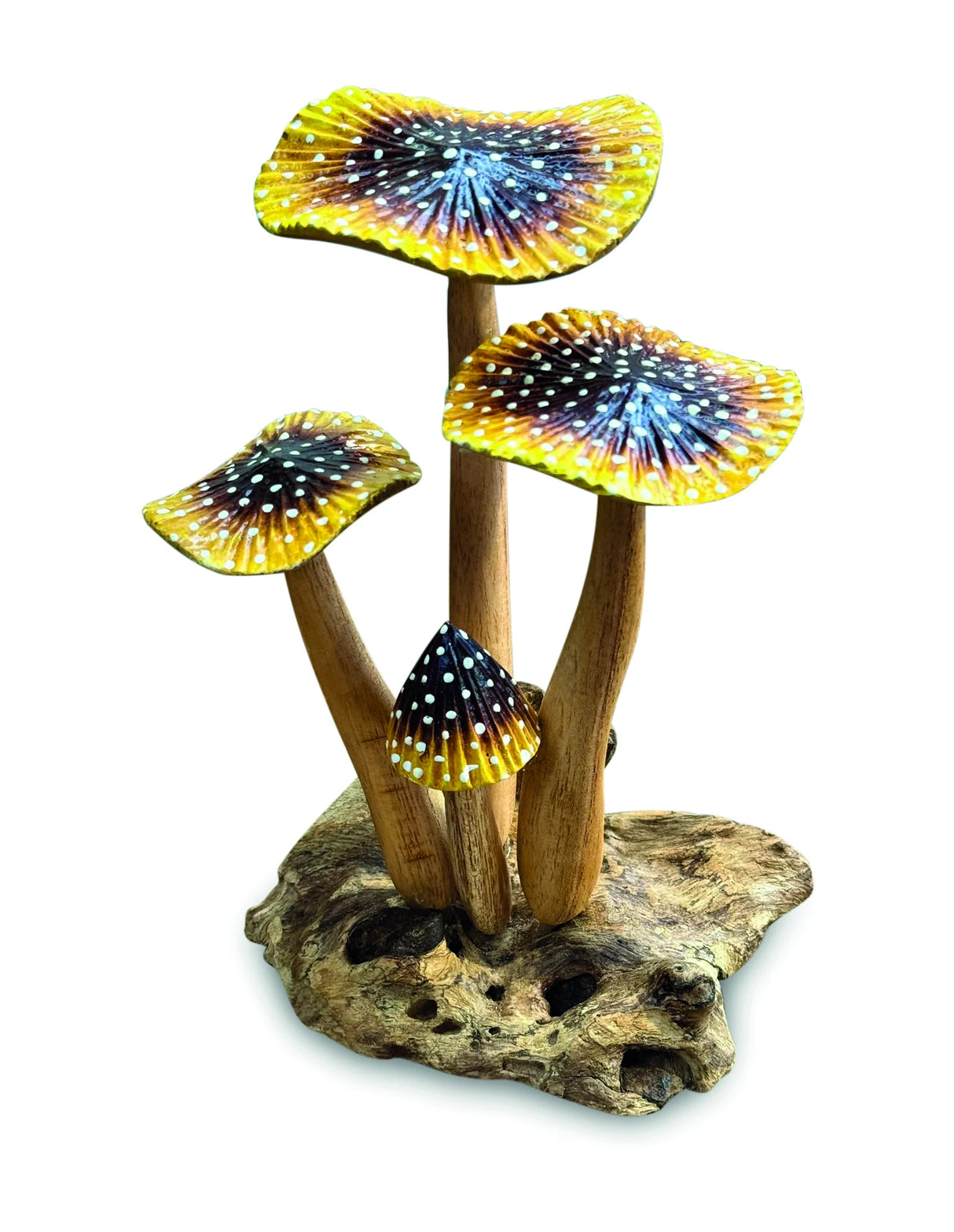 YELLOW BLUSHER 4x MUSHROOMS 20-22cm