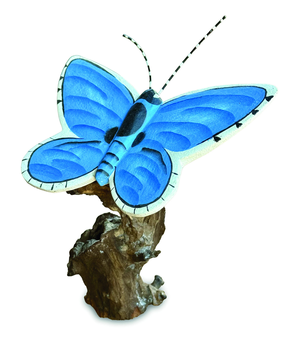 Holly Blue Butterfly On Driftwood W20cm
