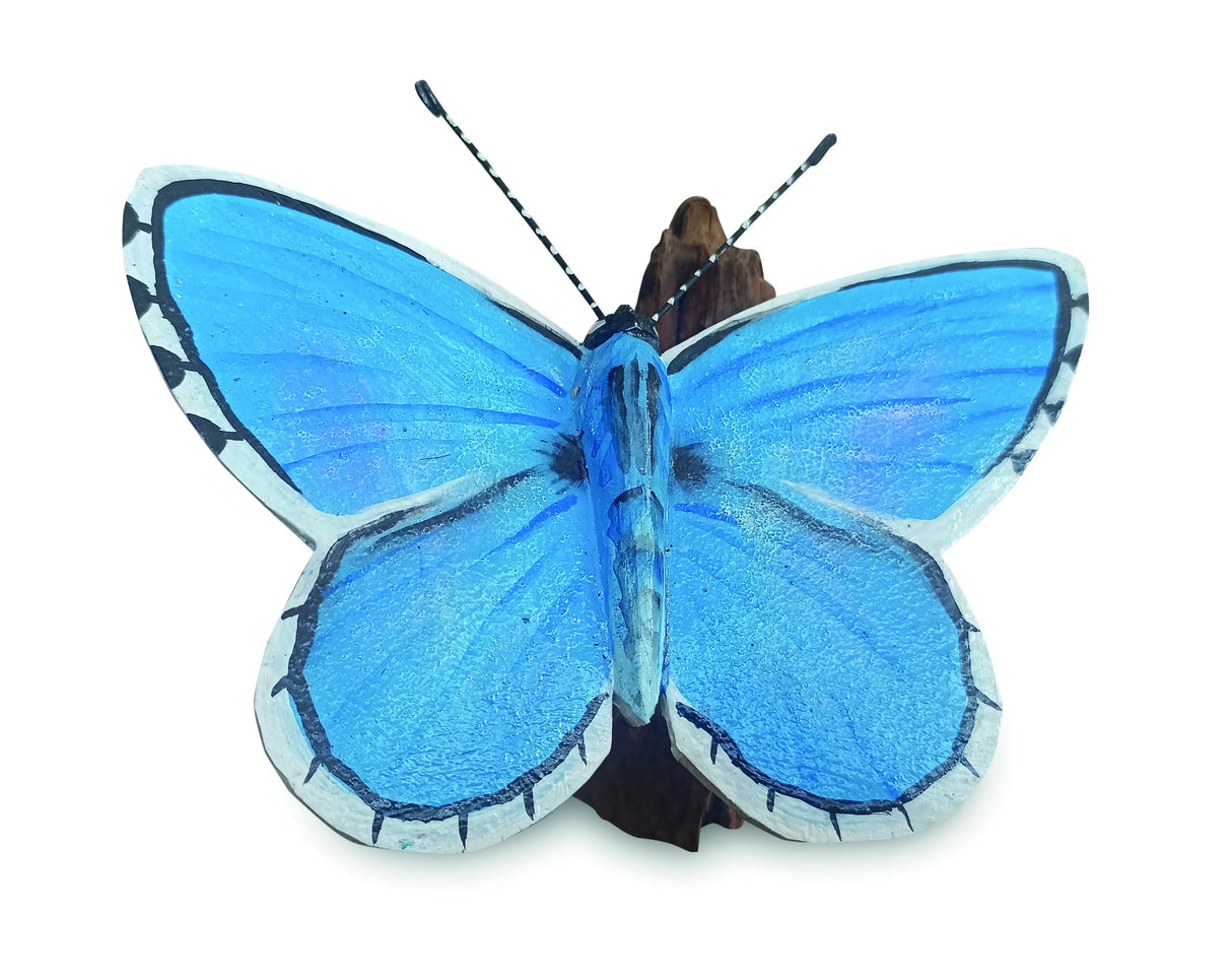 Holly Blue Butterfly On Driftwood W20cm
