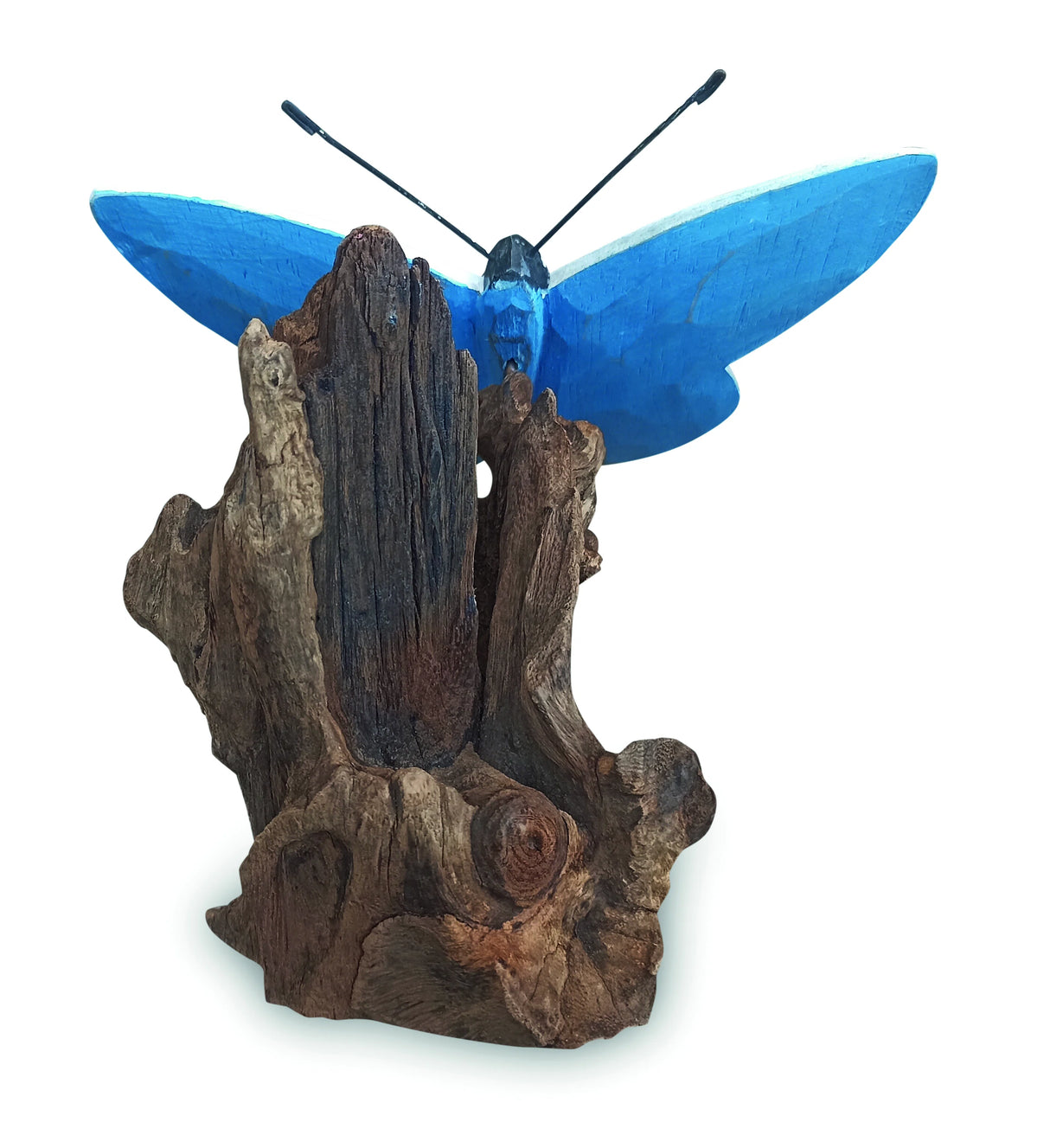 Holly Blue Butterfly On Driftwood W20cm