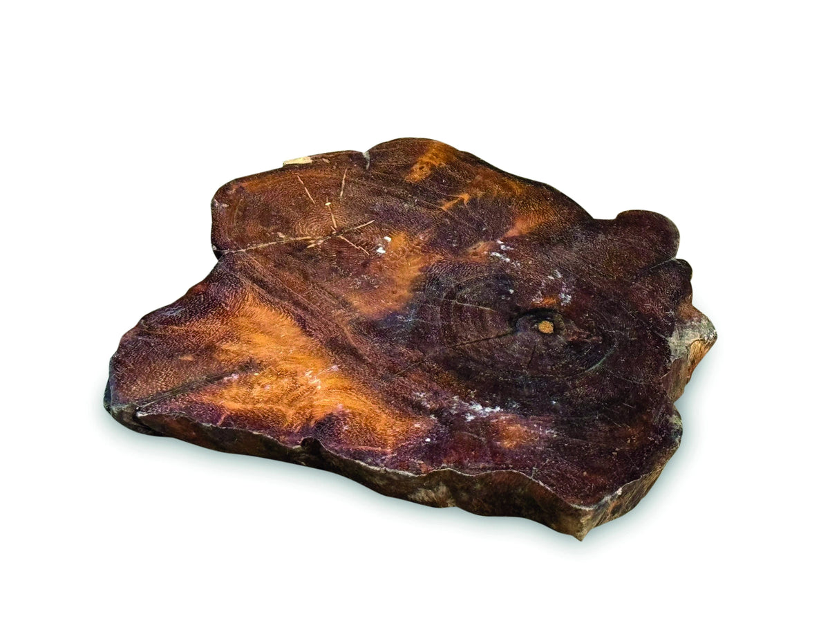 Tree Root Slice Coaster 10-17cm Dia