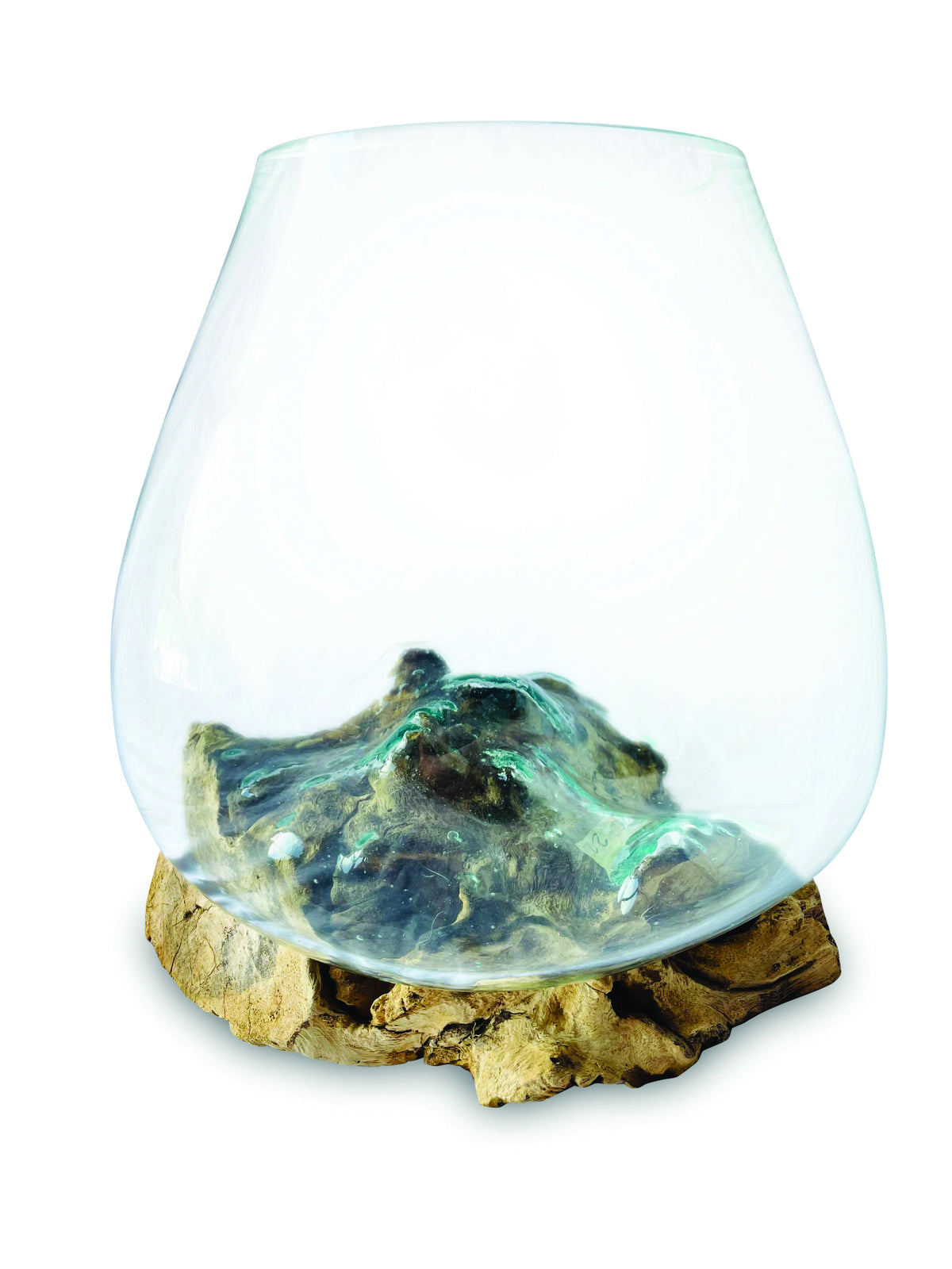 Root With Glass Bowl Medium