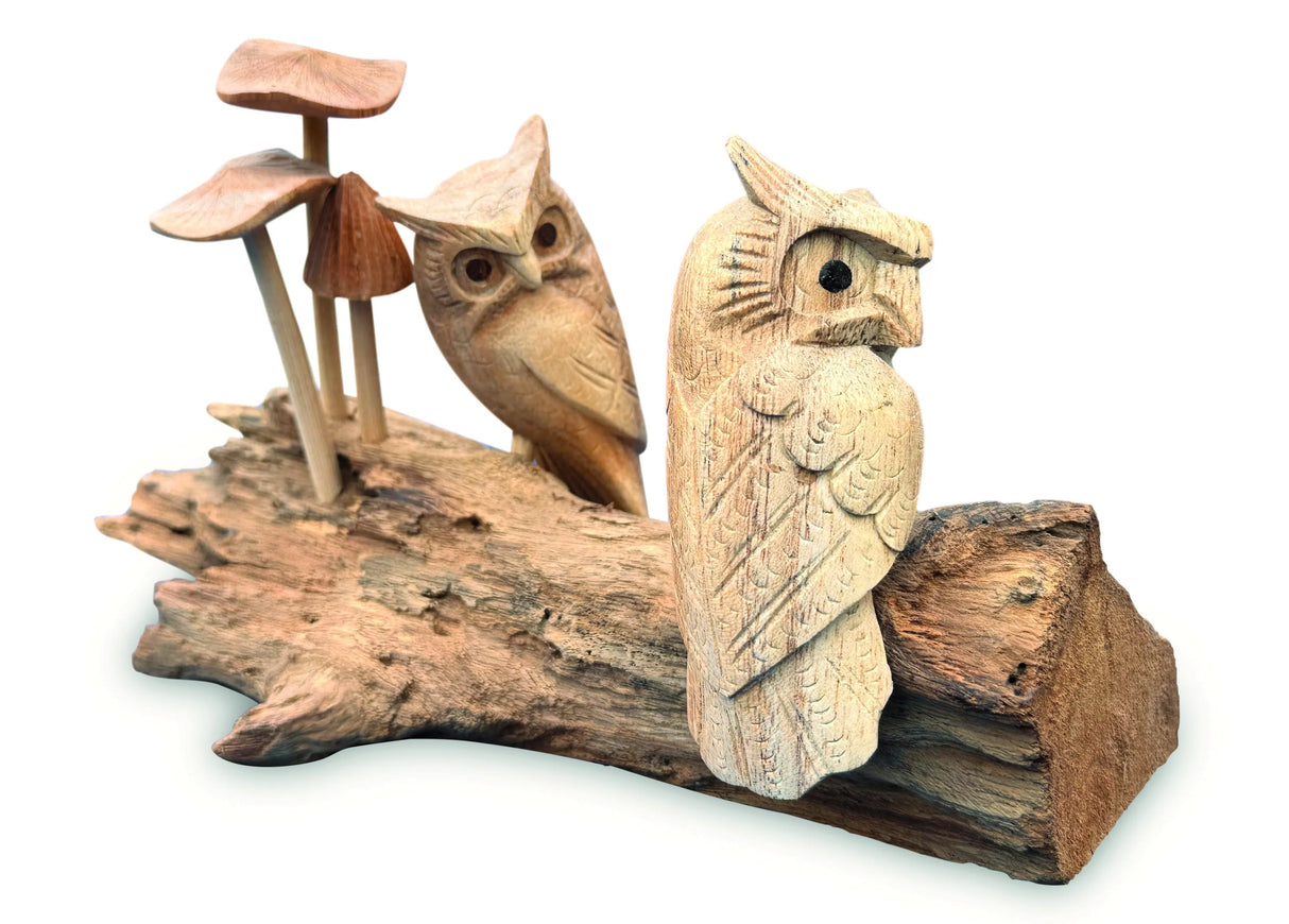 Twin Owls In Mushroom Garden
