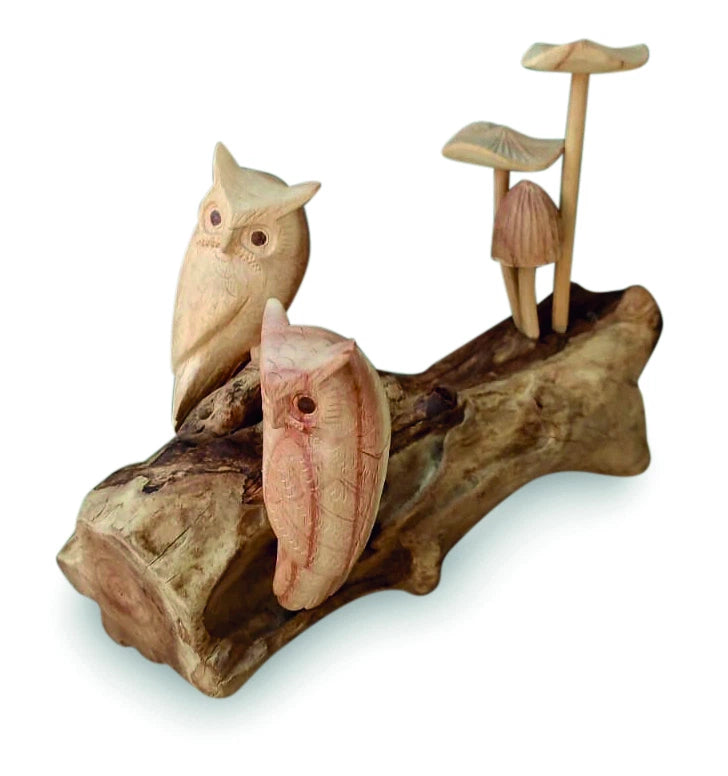 Twin Owls In Mushroom Garden