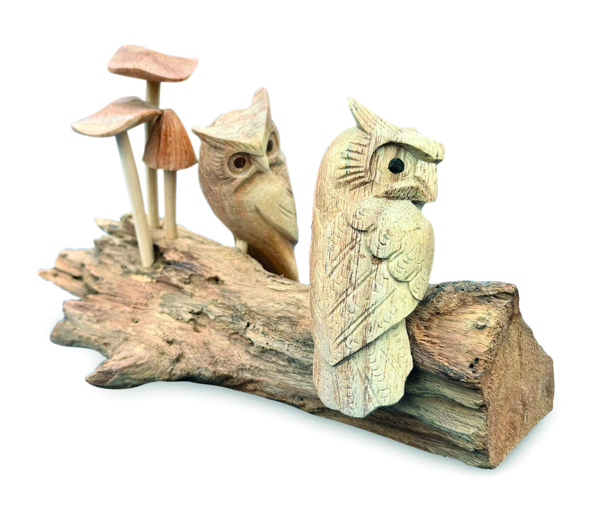 Twin Owls In Mushroom Garden