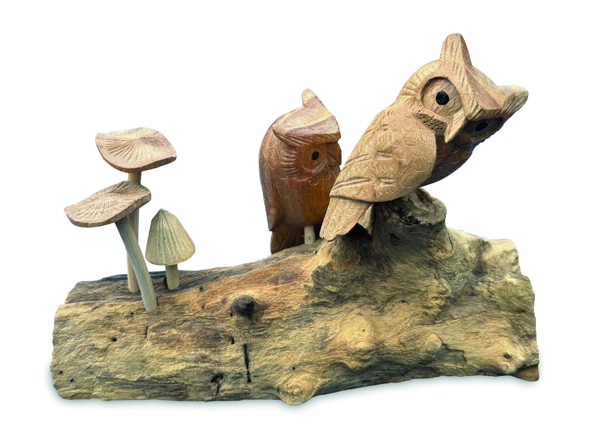Twin Owls In Mushroom Garden