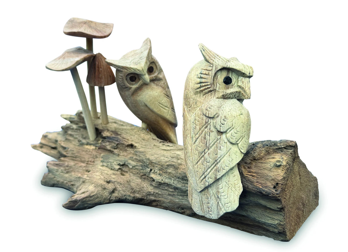 Twin Owls In Mushroom Garden