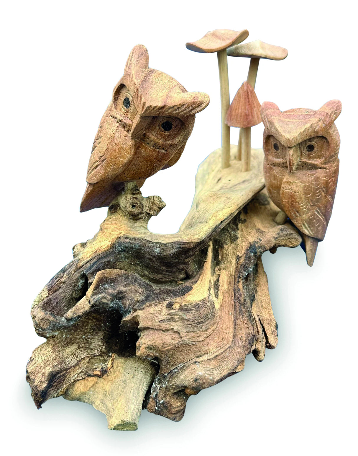 Twin Owls In Mushroom Garden