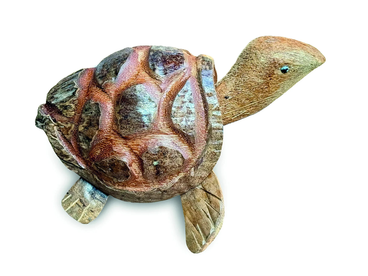 COCONUT NODDING TORTOISE