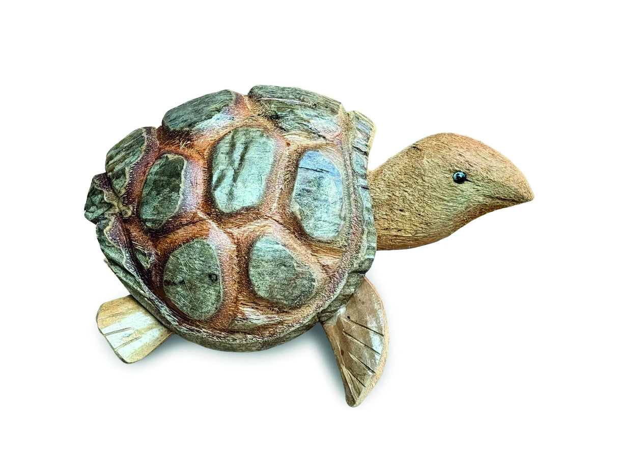 COCONUT NODDING TORTOISE