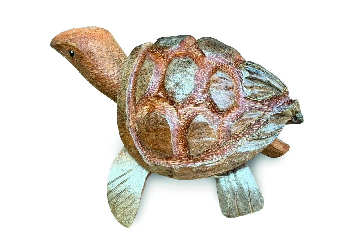COCONUT NODDING TORTOISE