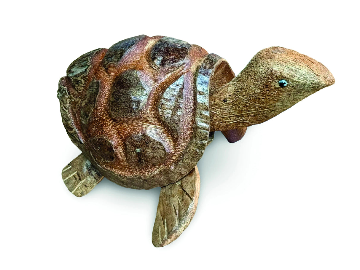 Coconut Nodding Tortoise