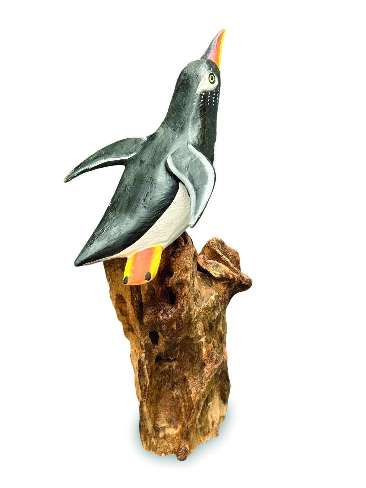Single Cliff Diving Penguin 13-15h