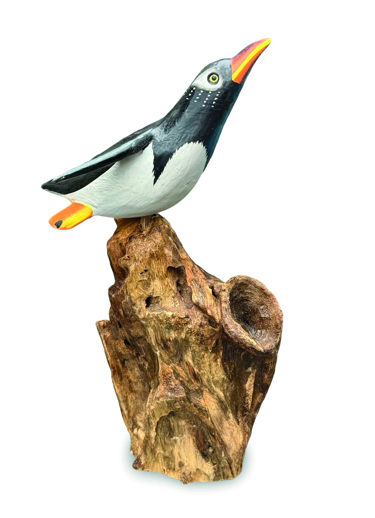 Single Cliff Diving Penguin 13-15h