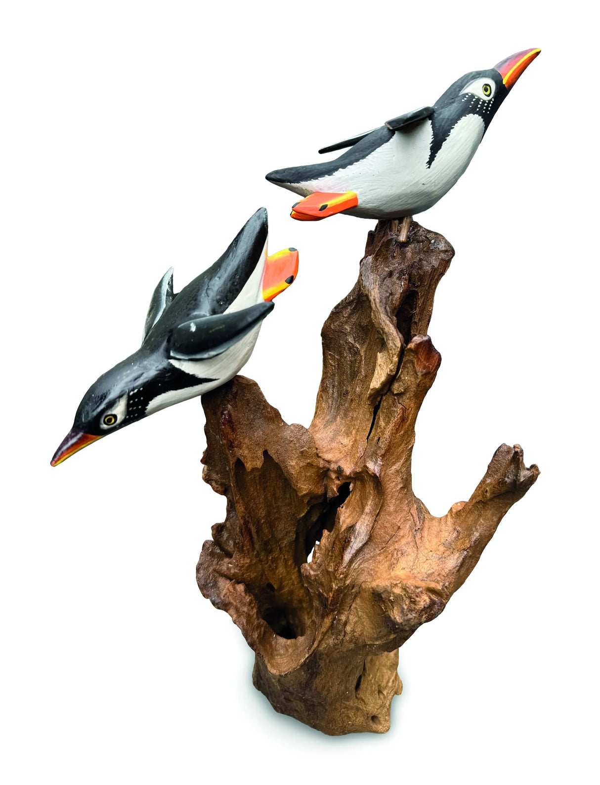 DOUBLE CLIFF DIVING PENGUIN 25-28h cm