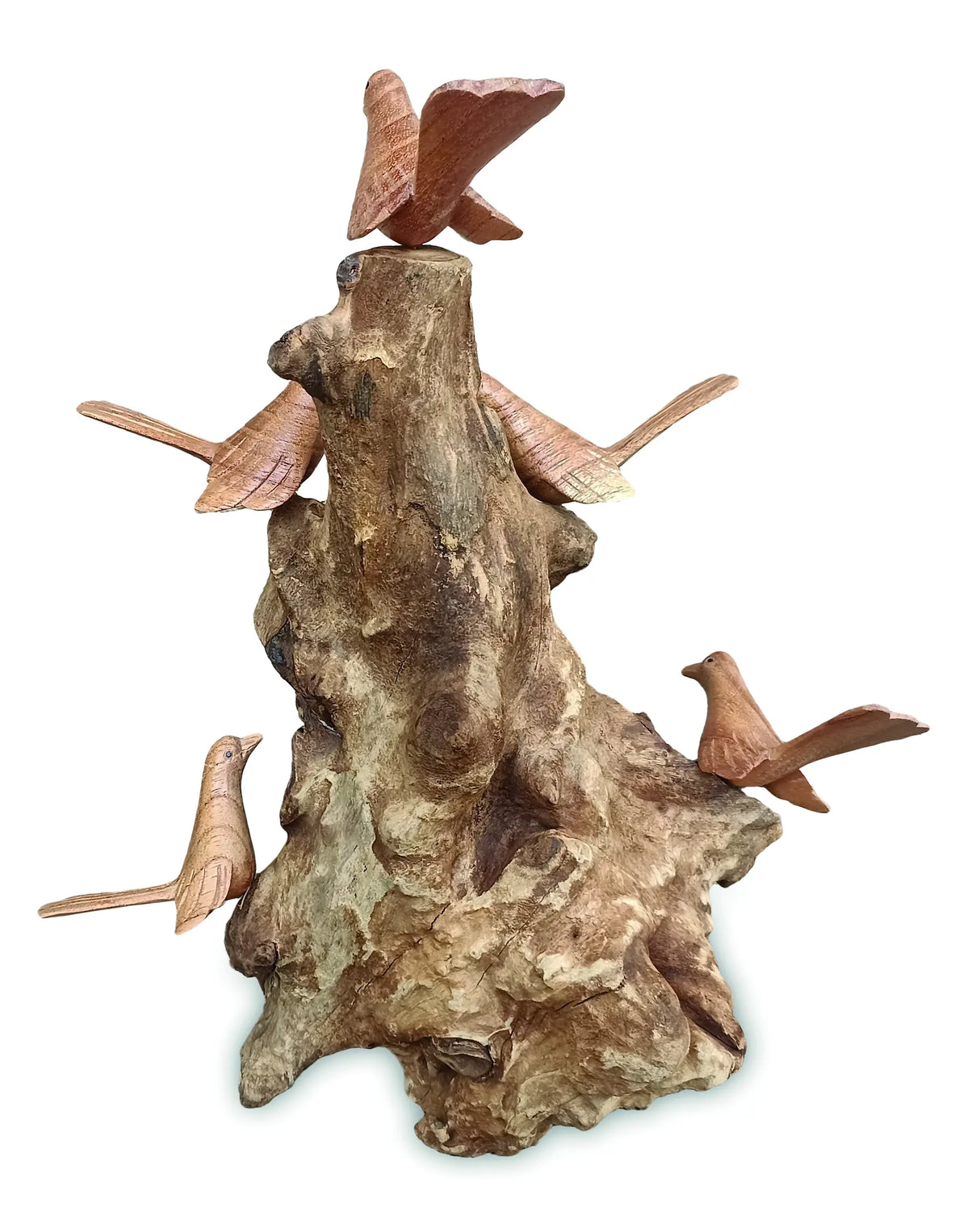 5 LITTLE NESTING BIRDS