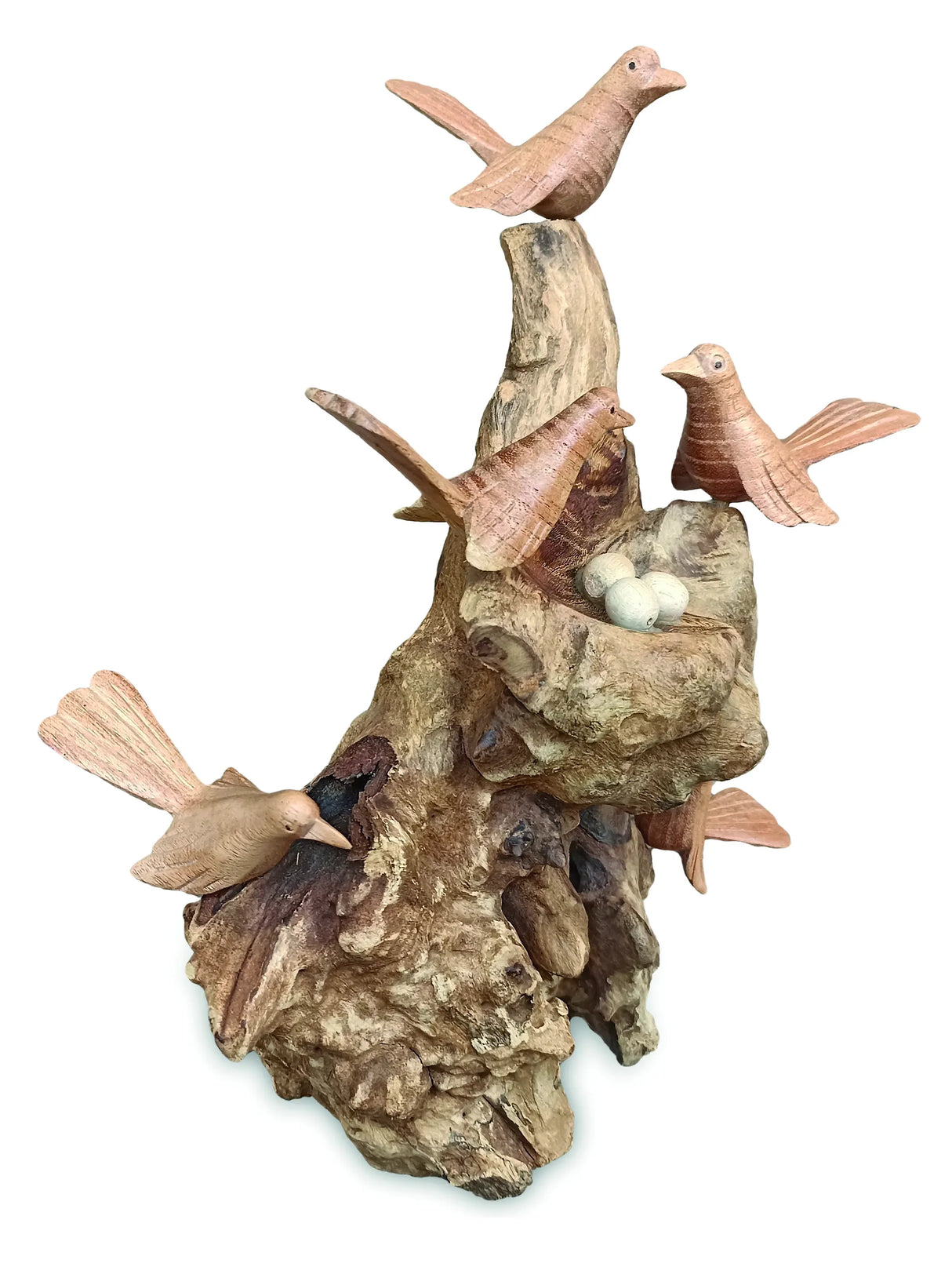 5 LITTLE NESTING BIRDS