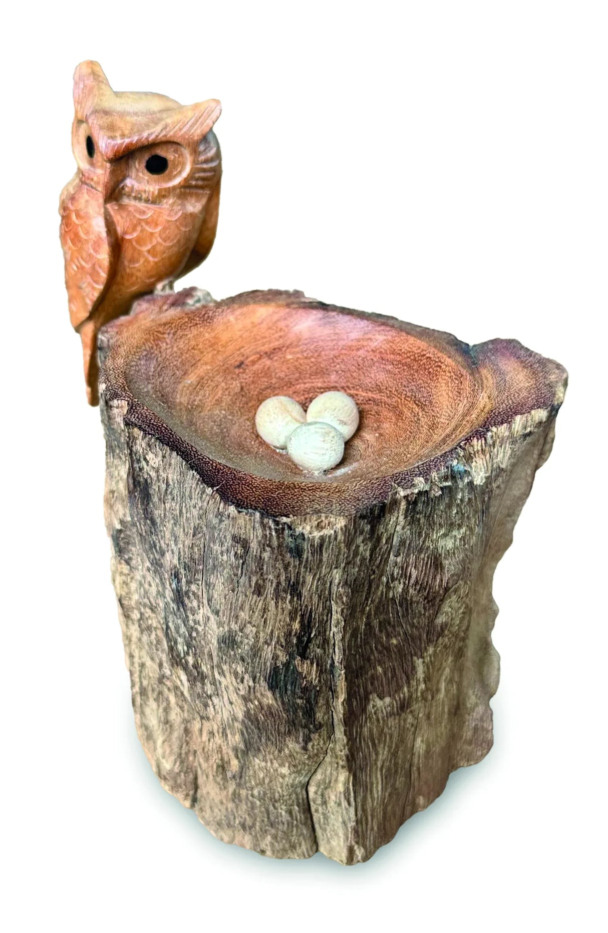 NESTING SINGLE TAWNY OWL