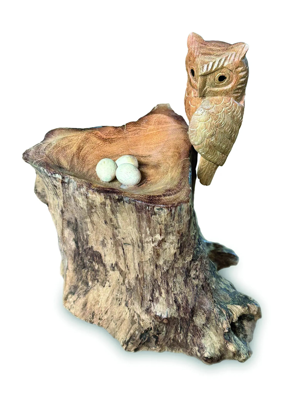 NESTING SINGLE TAWNY OWL