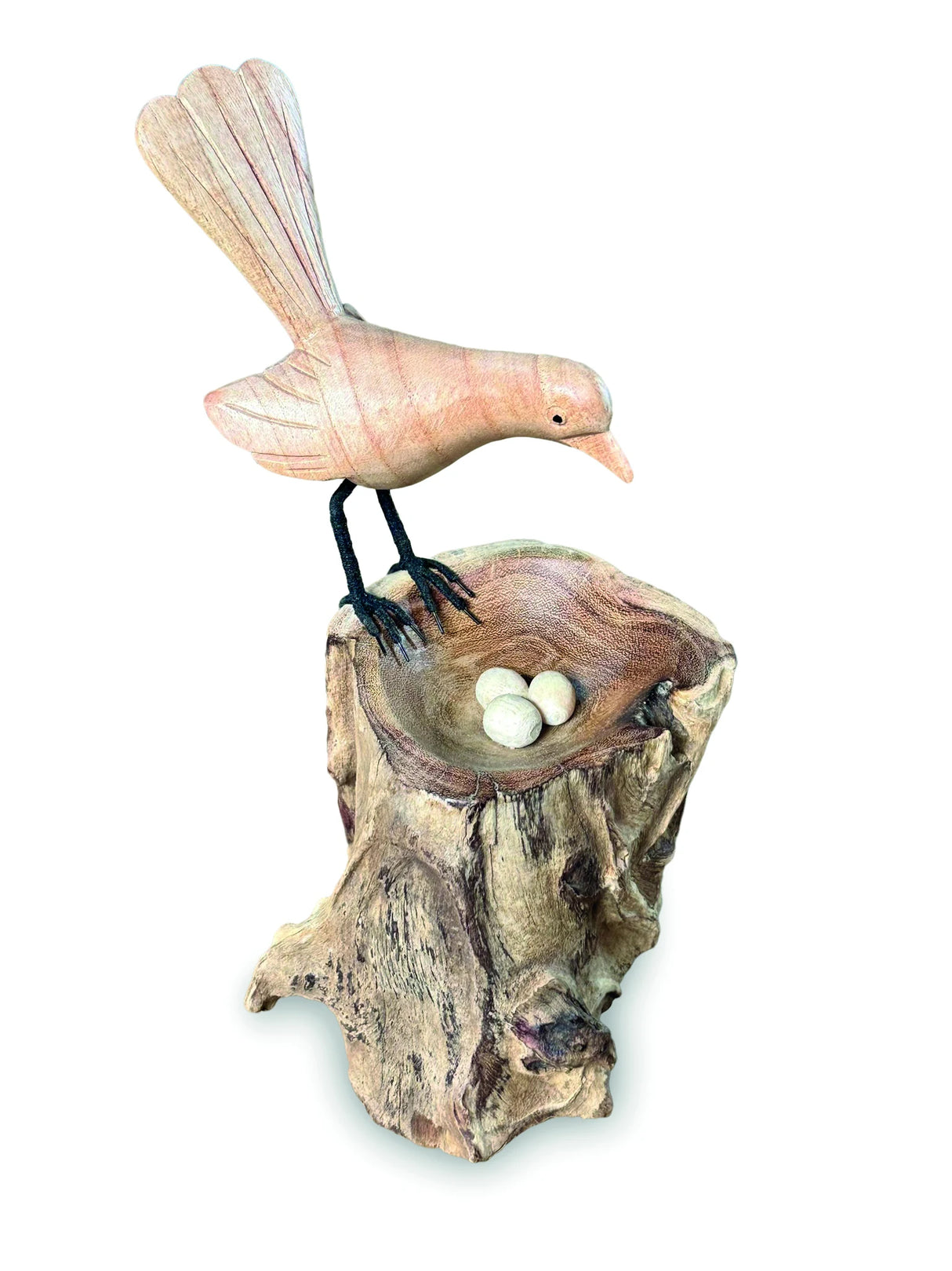 SINGLE LYREBIRD NESTING