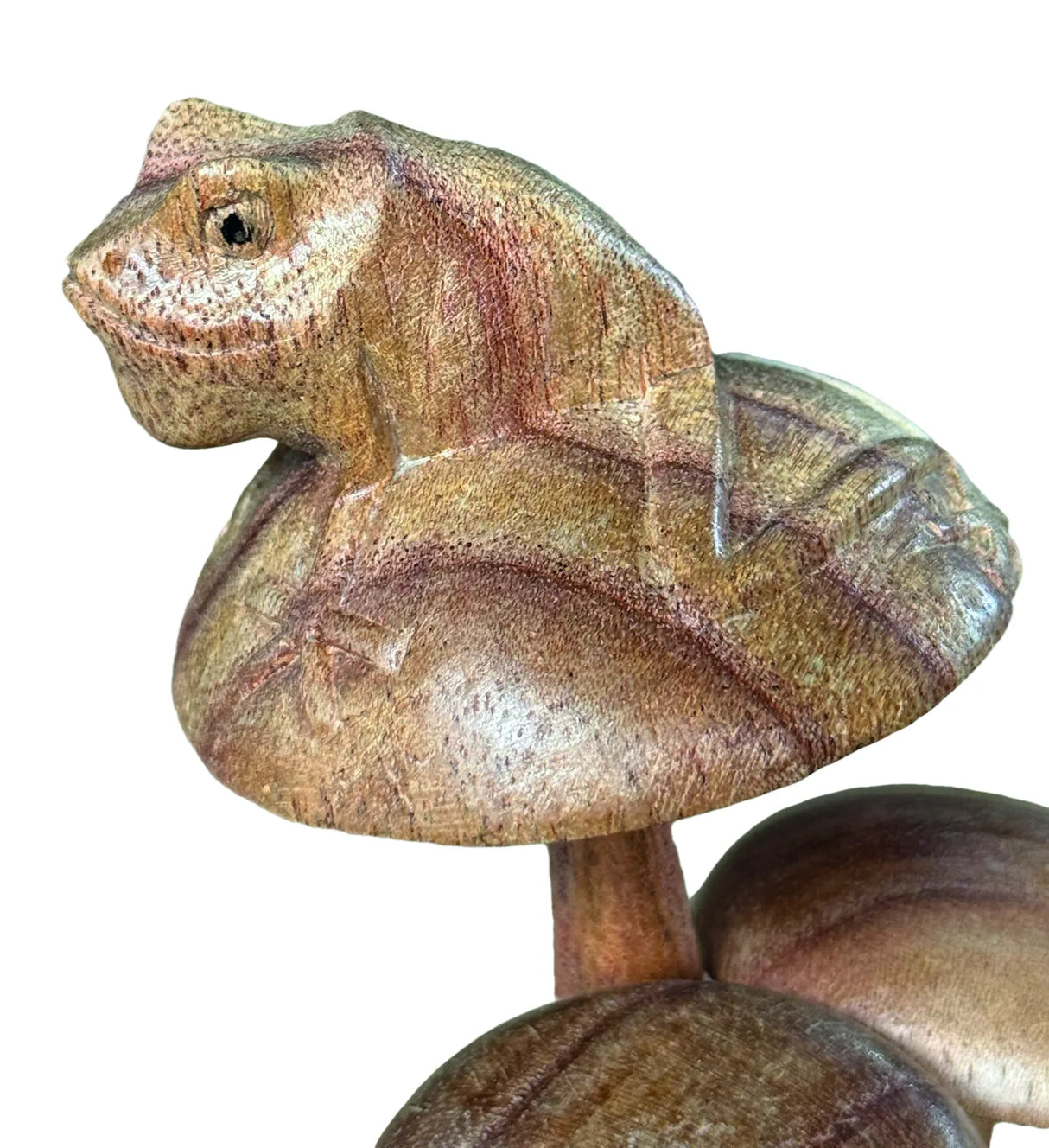 FROG ON MUSHROOM 17 CM