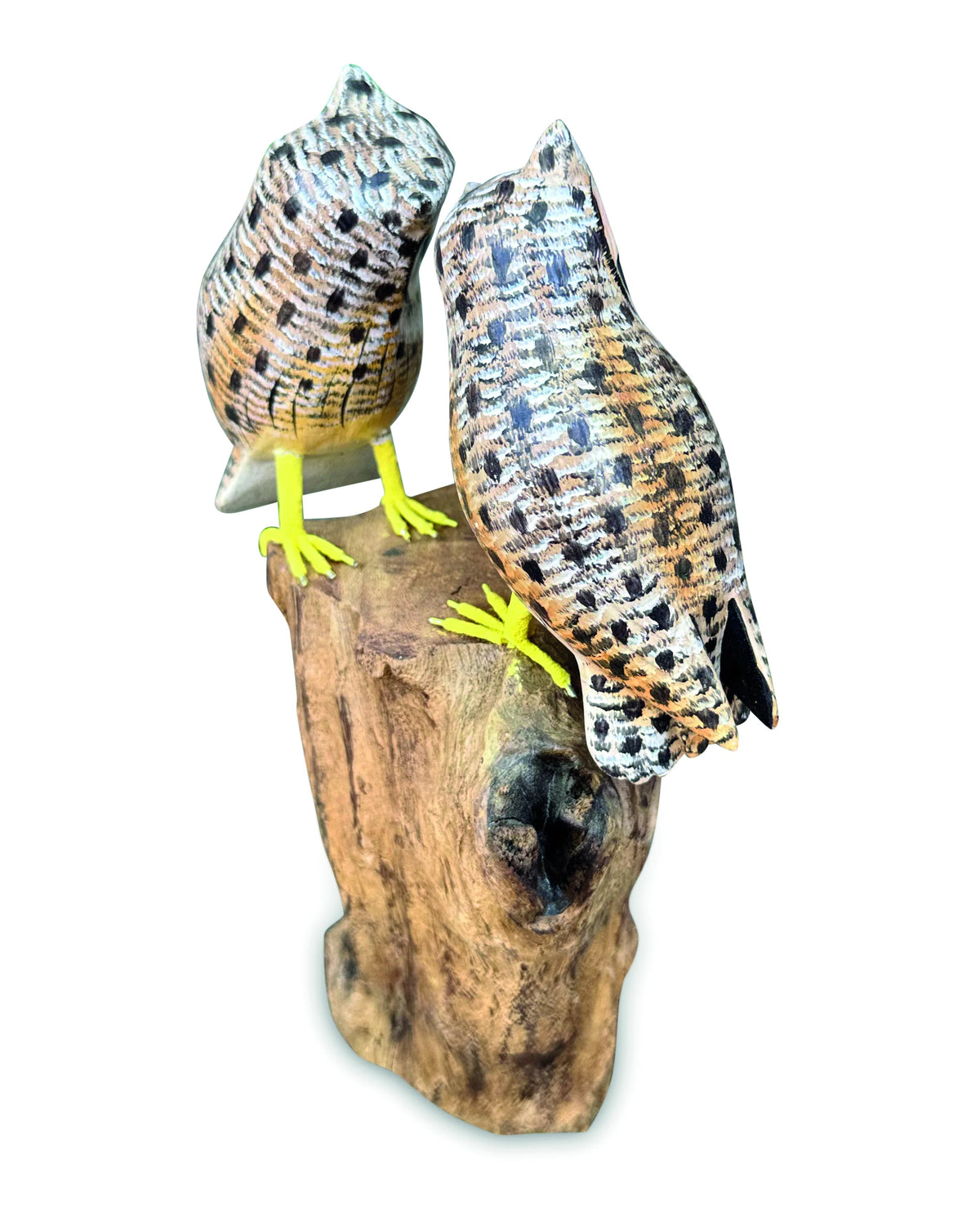 Painted Double Tawny Owls 27cm