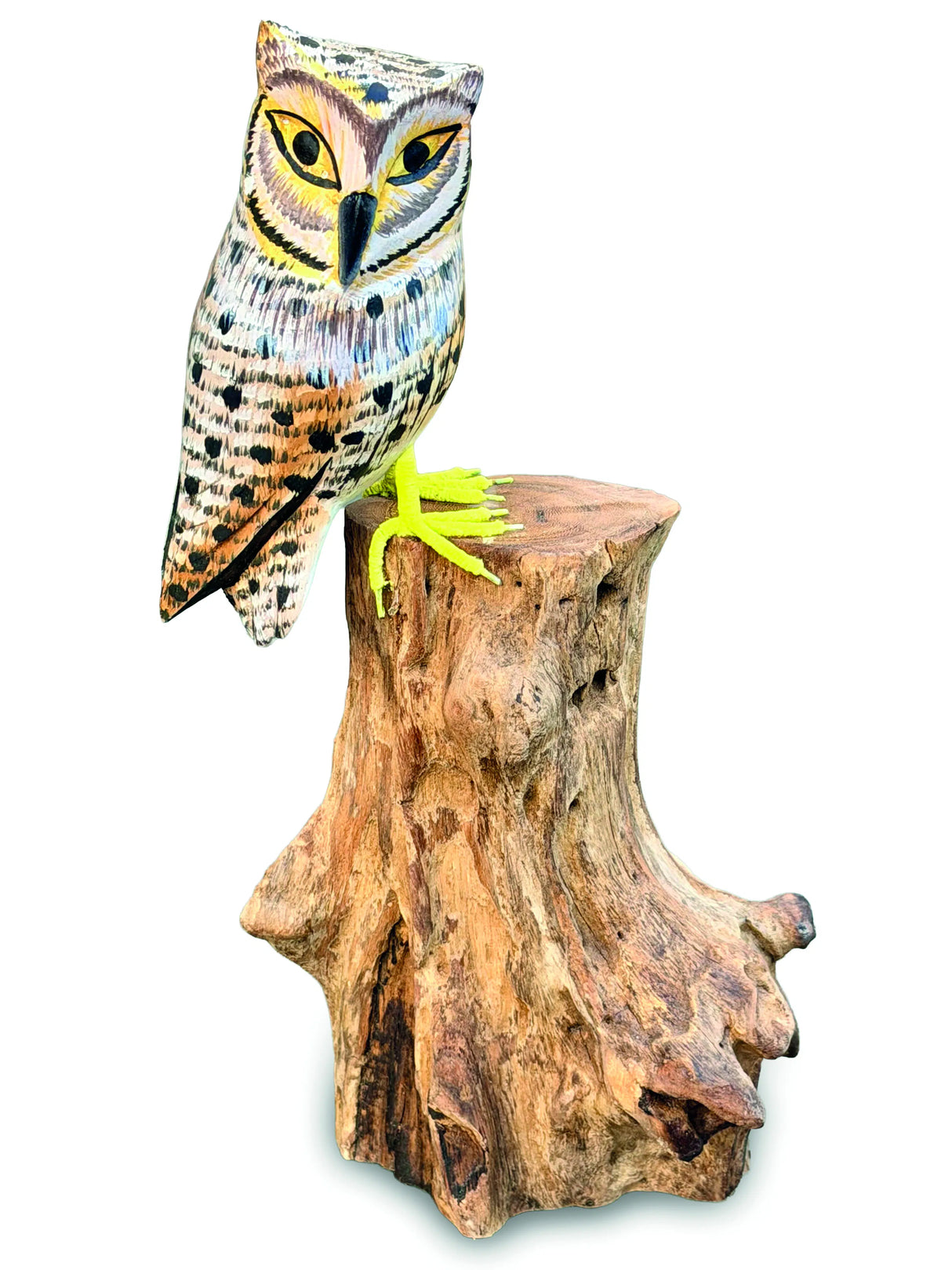 Painted Single Tawny Owl 26cm