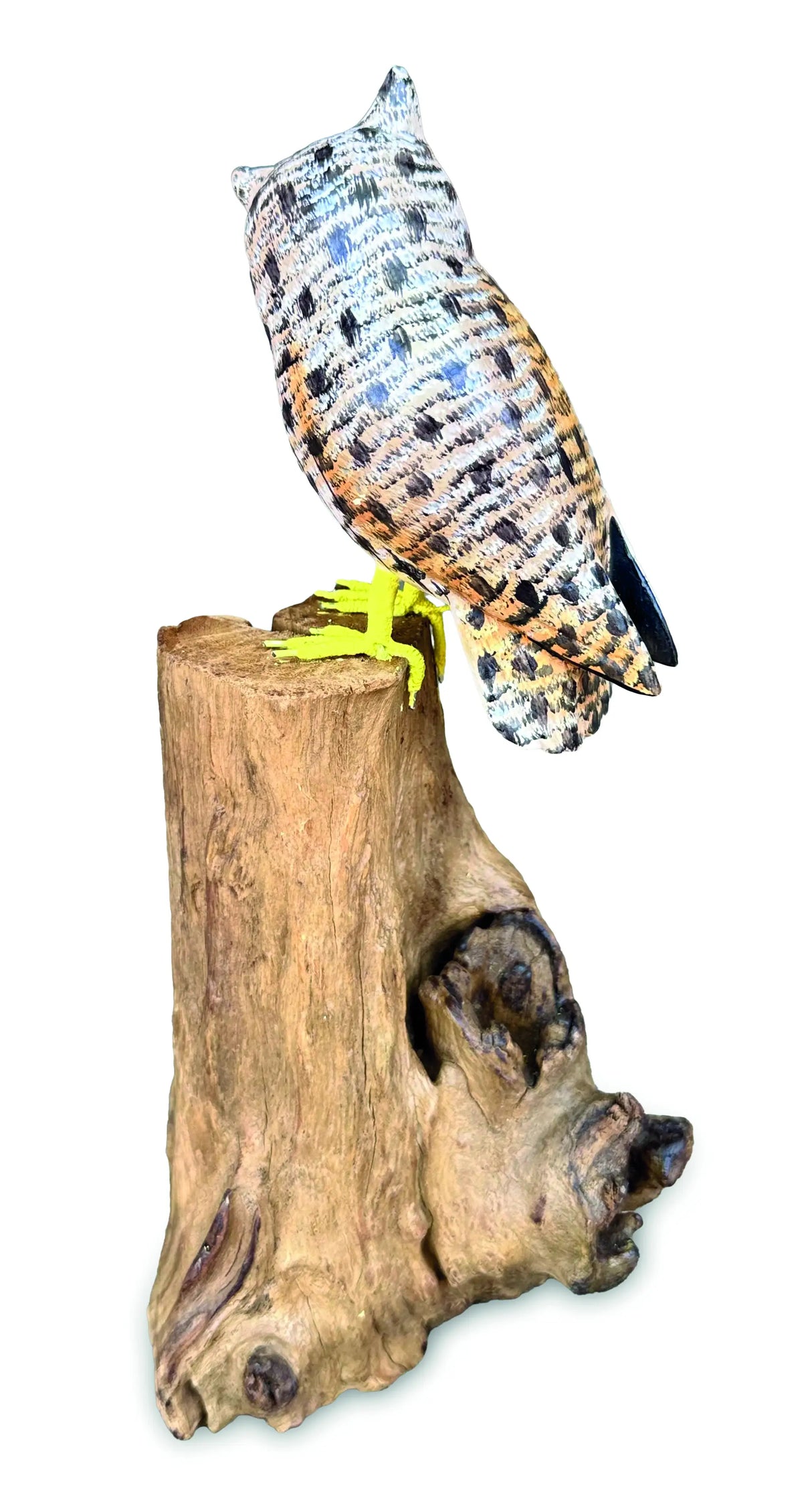 PAINTED SINGLE TAWNY OWLS 26 CM