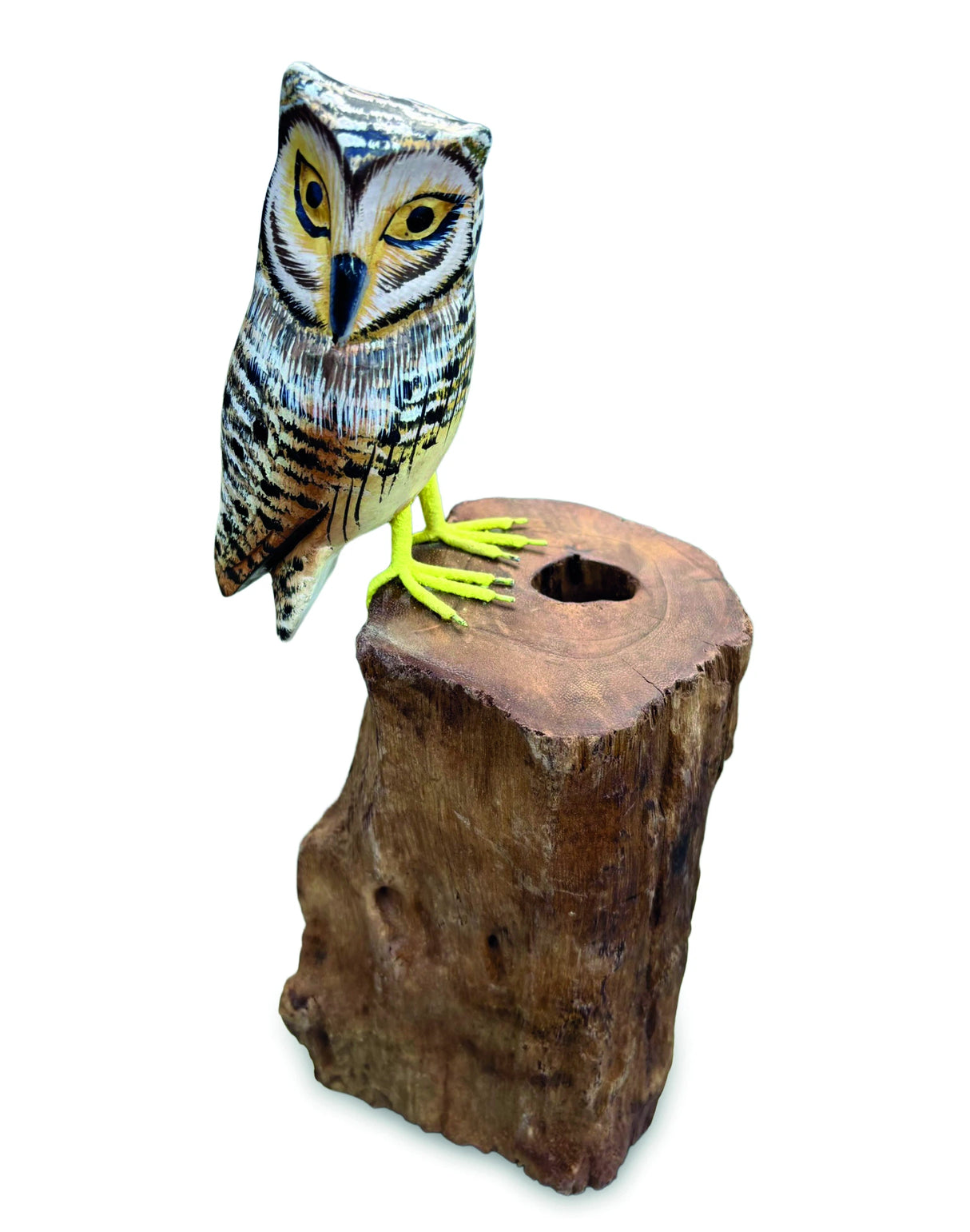 Painted Single Tawny Owl 26cm