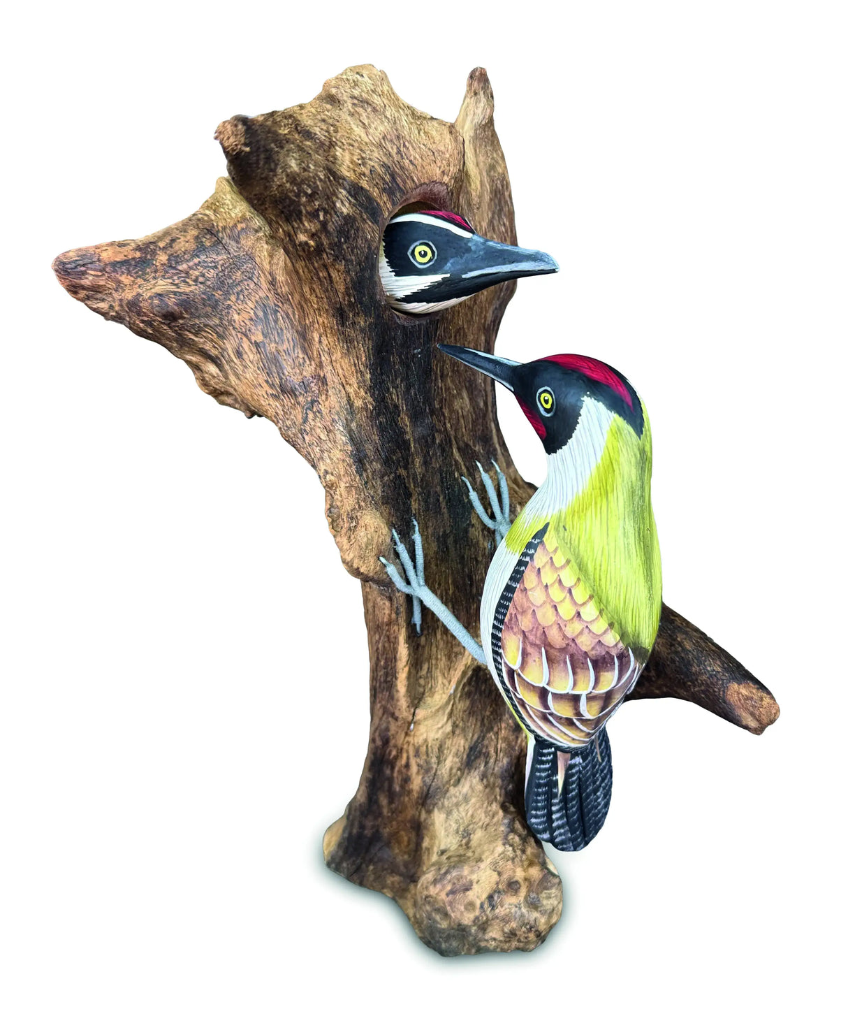 WOOD PECKER FEEDING 40 CM