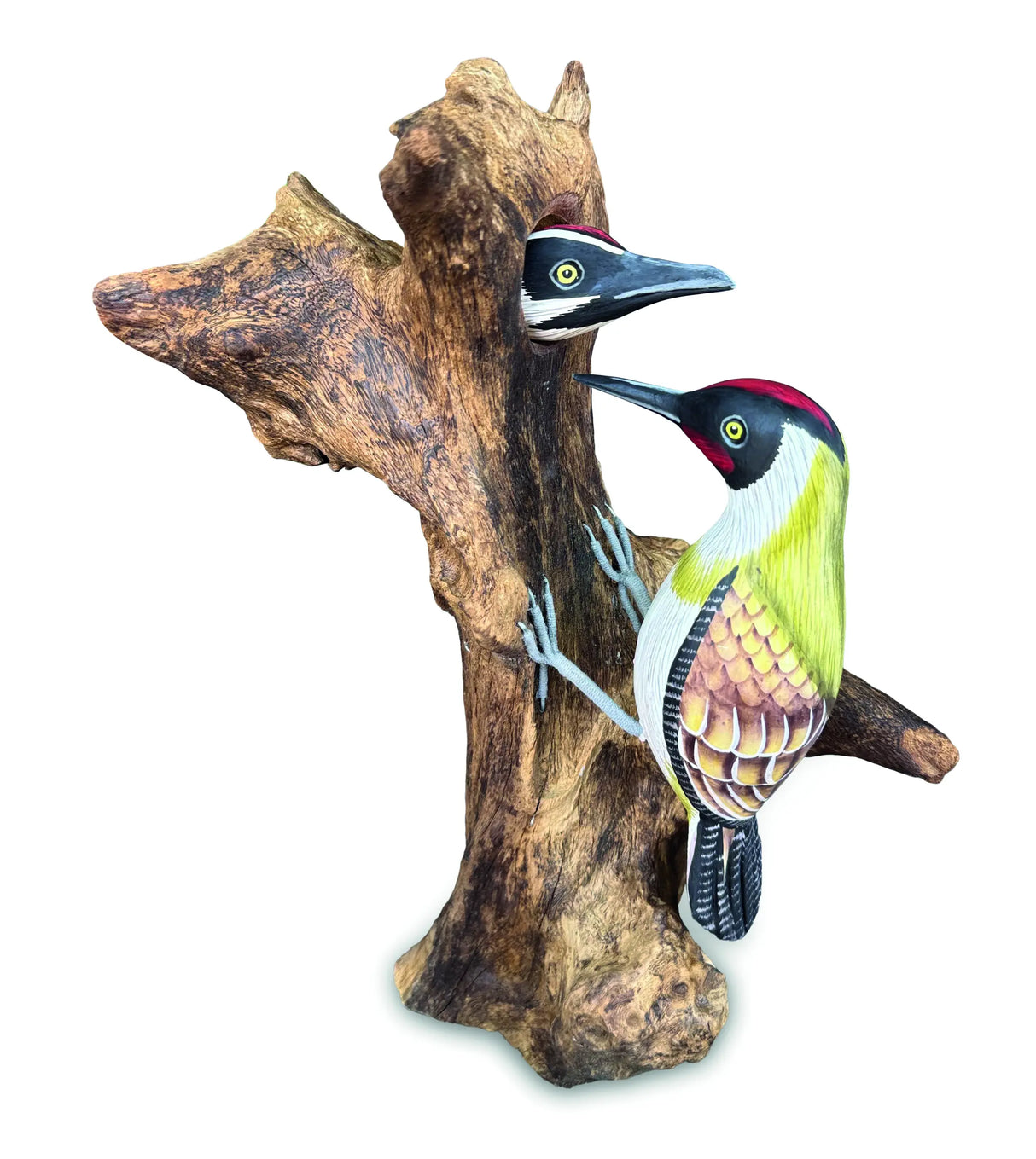 WOOD PECKER FEEDING 40 CM