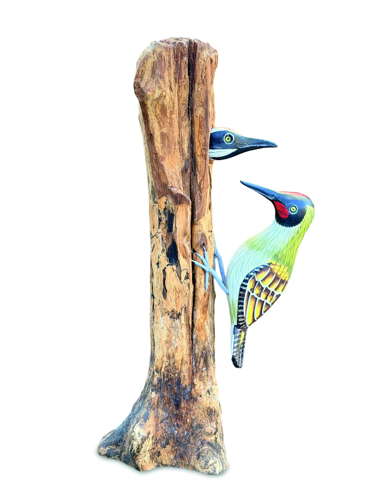 Woodpecker Feeding 40cm