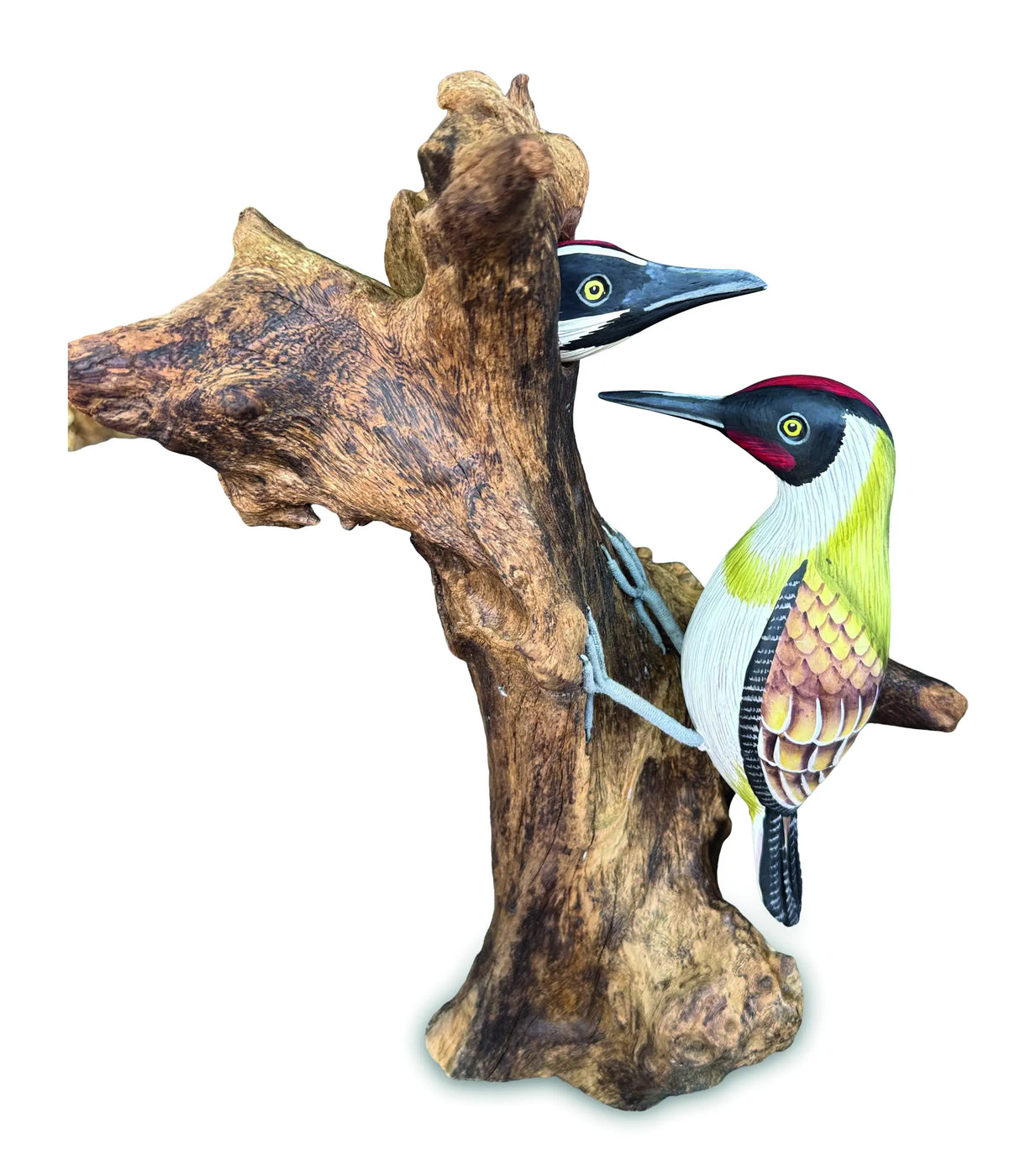 WOOD PECKER FEEDING 40 CM