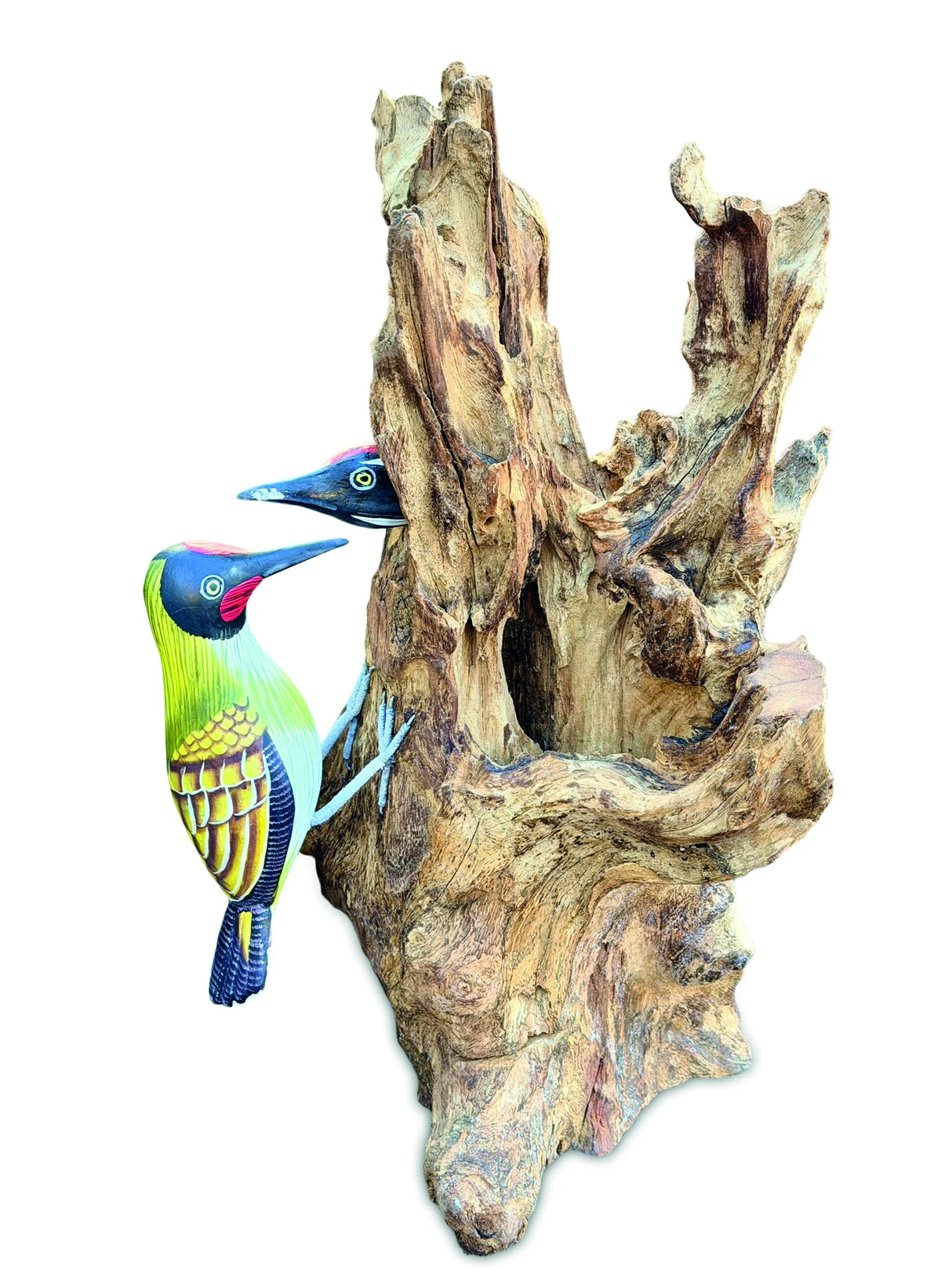 Woodpecker Feeding 40cm