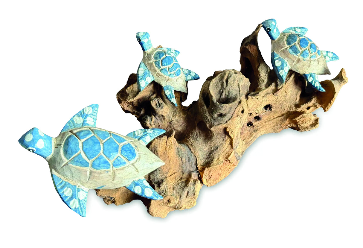 3 SWIMMING TURTLES ON CORAL