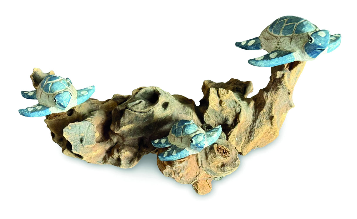 3 SWIMMING TURTLES ON CORAL