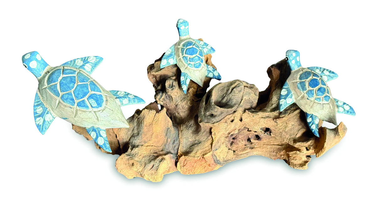 3 SWIMMING TURTLES ON CORAL