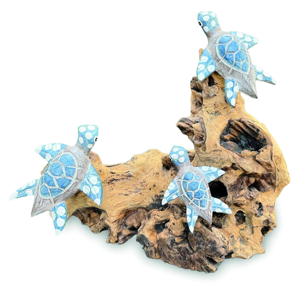 3 Swimming Turtles On Coral