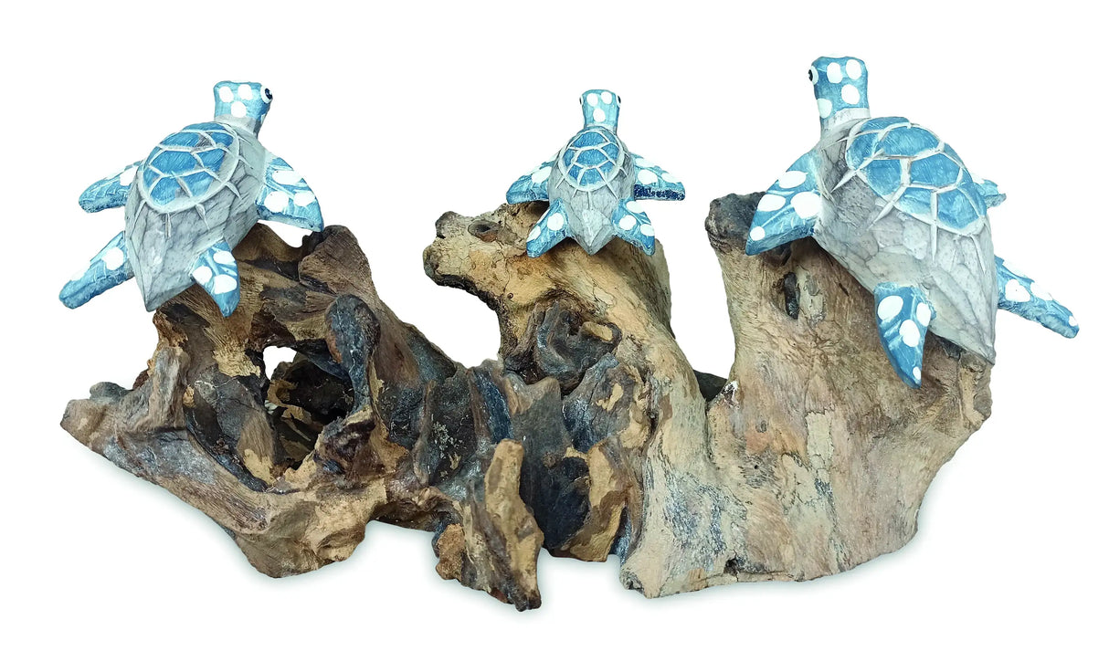 3 SWIMMING TURTLES ON CORAL