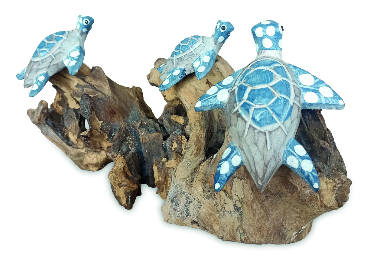 3 SWIMMING TURTLES ON CORAL