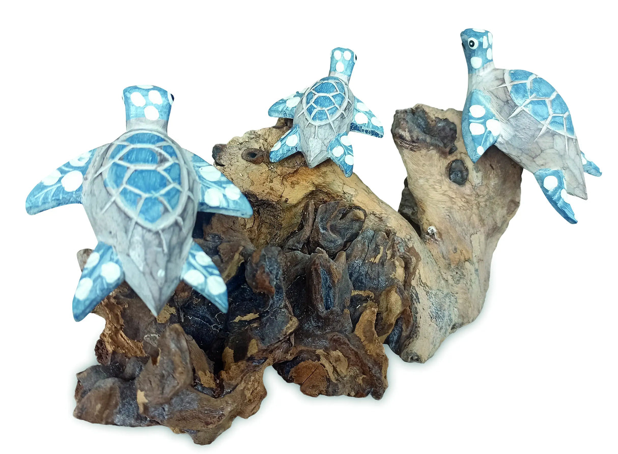 3 SWIMMING TURTLES ON CORAL