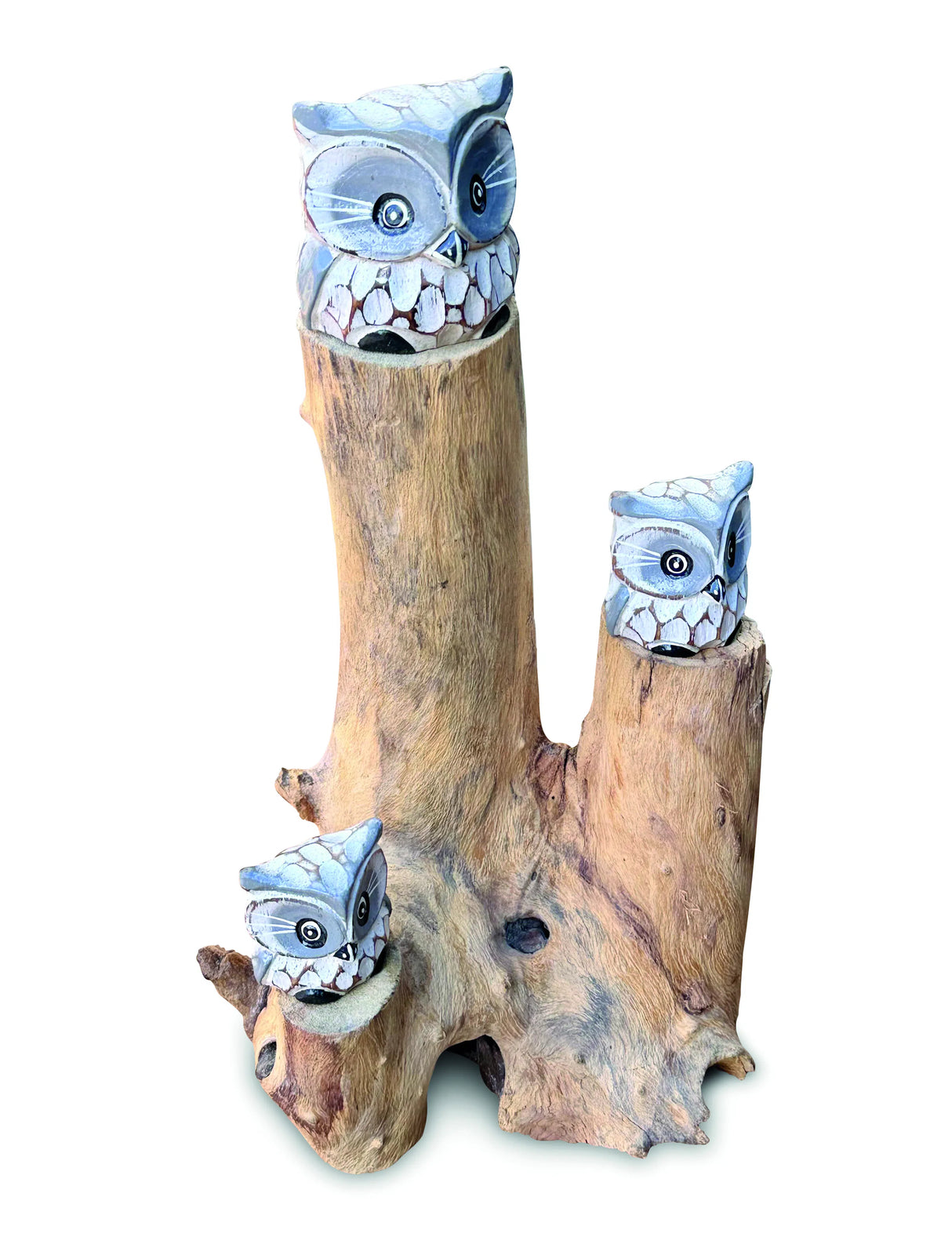 3 Baby Owls In A Tree