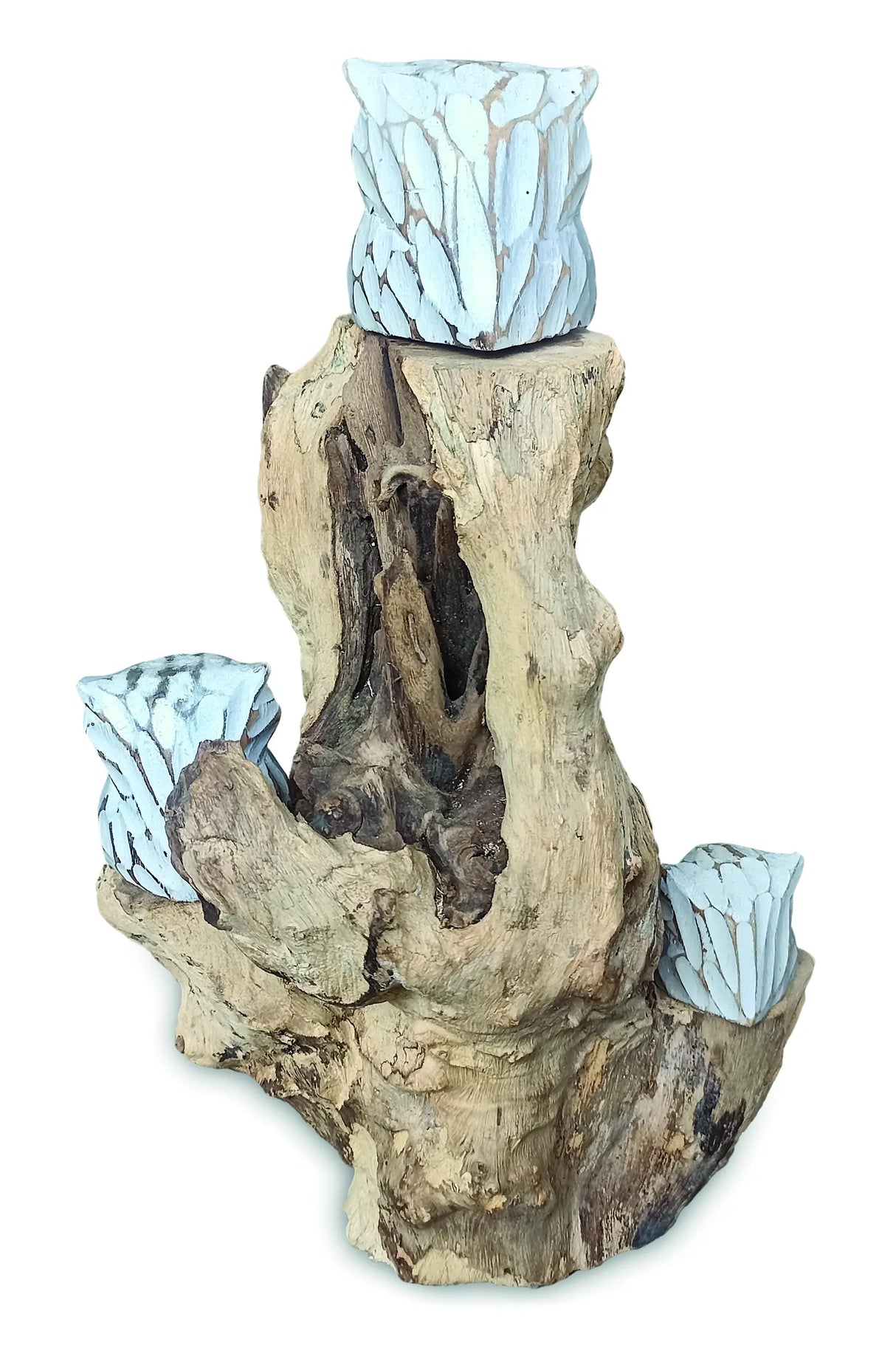 3 BABY OWLS IN A TREE