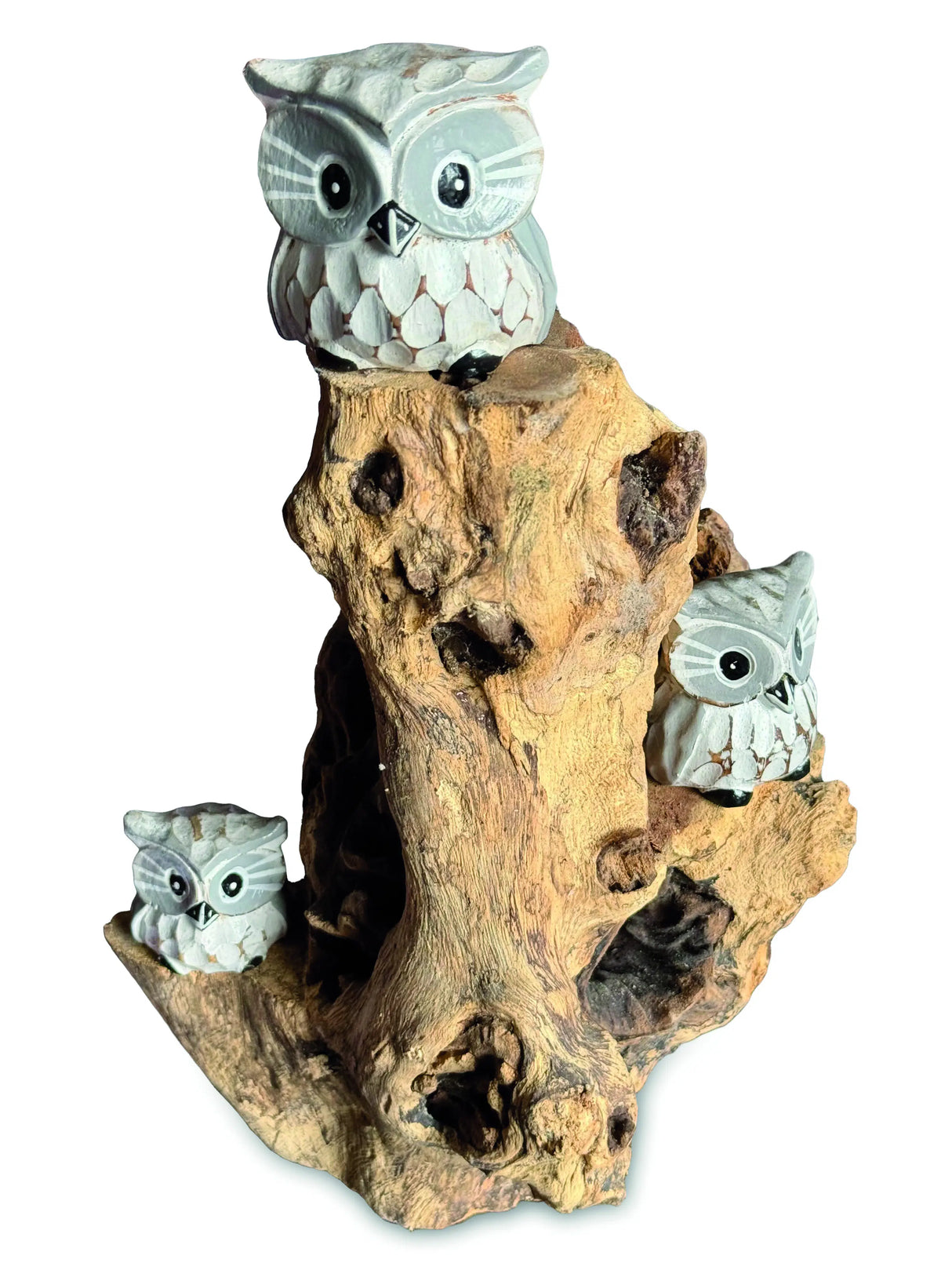 3 Baby Owls In A Tree