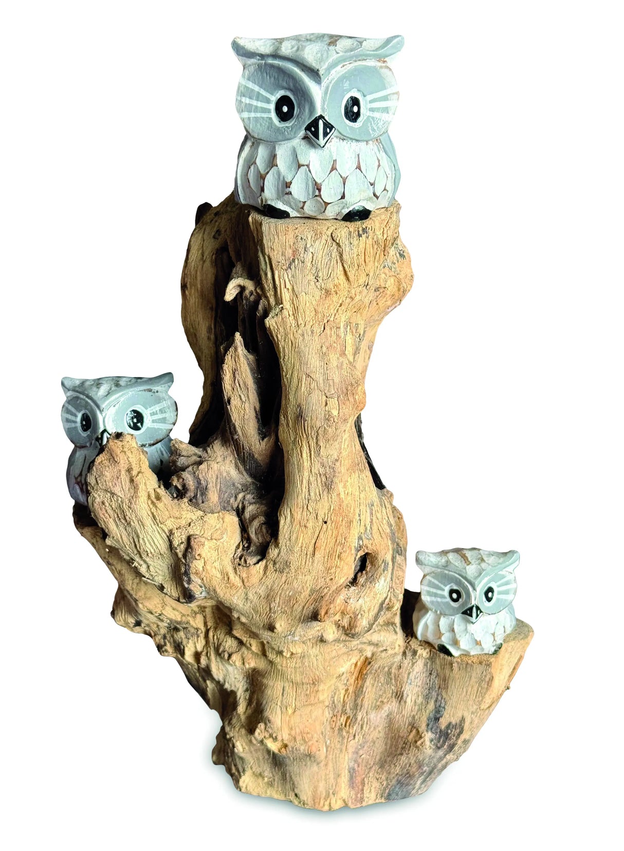 3 Baby Owls In A Tree