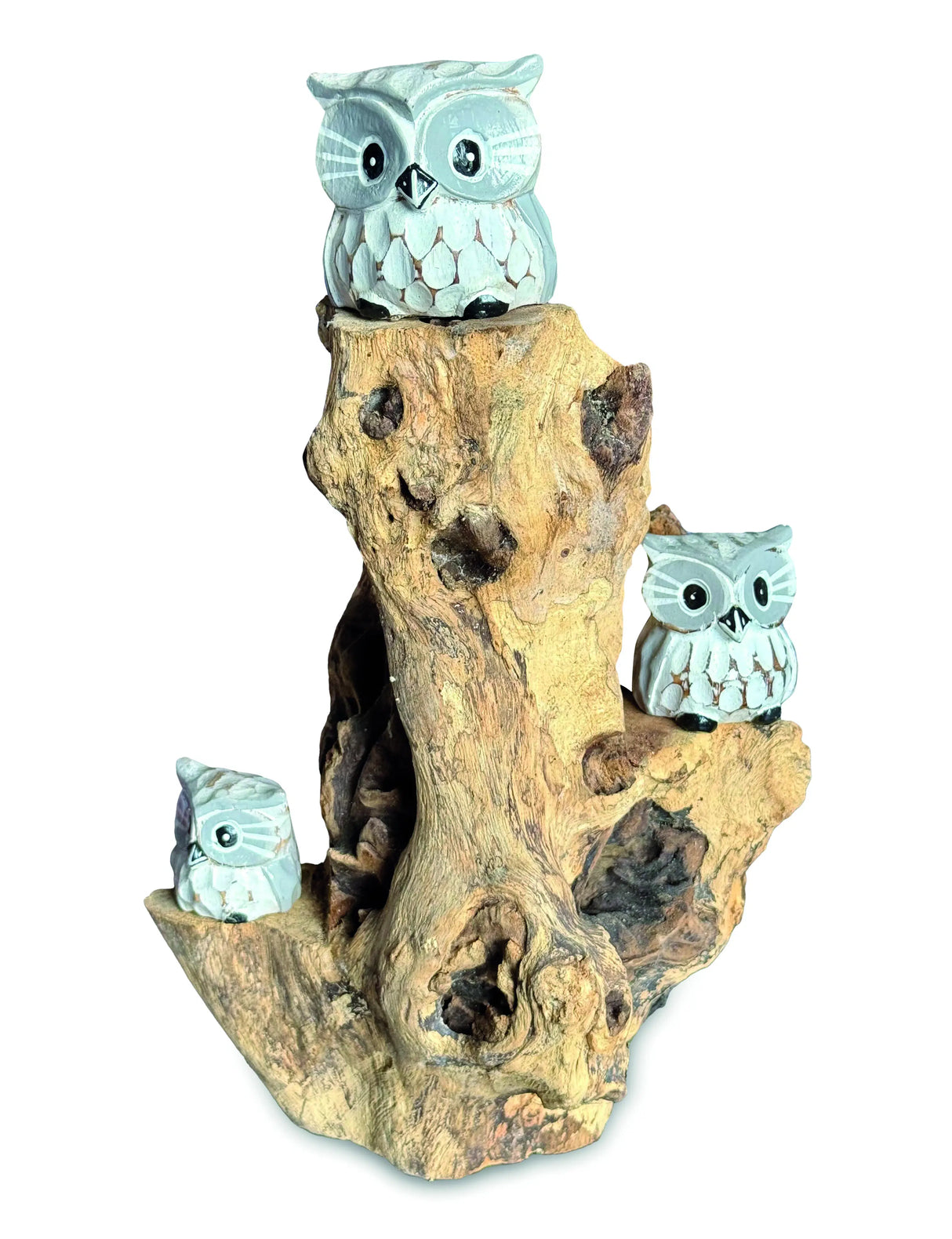 3 Baby Owls In A Tree