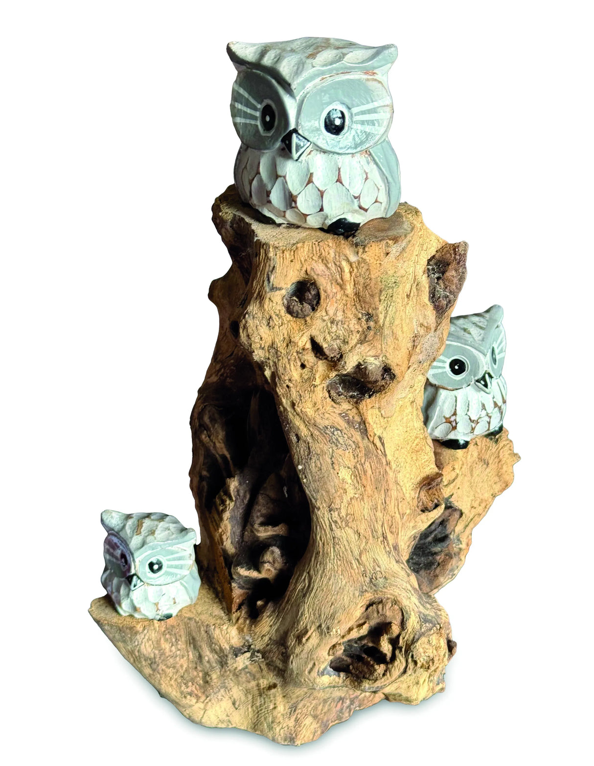 3 Baby Owls In A Tree