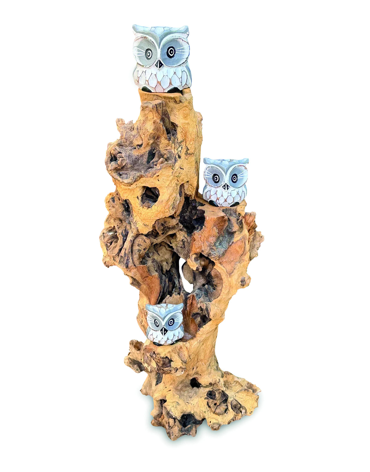 3 Baby Owls In A Tree